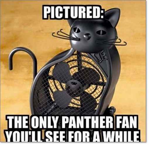 Panthers fan